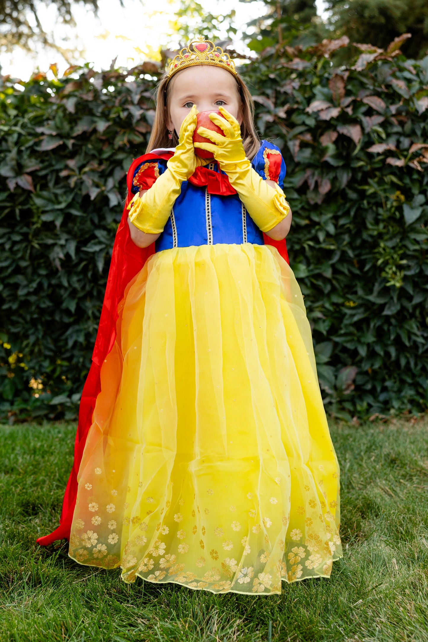 Premium Mirror Princess Dress