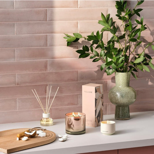 Coconut Milk Mango Aromatic Diffuser