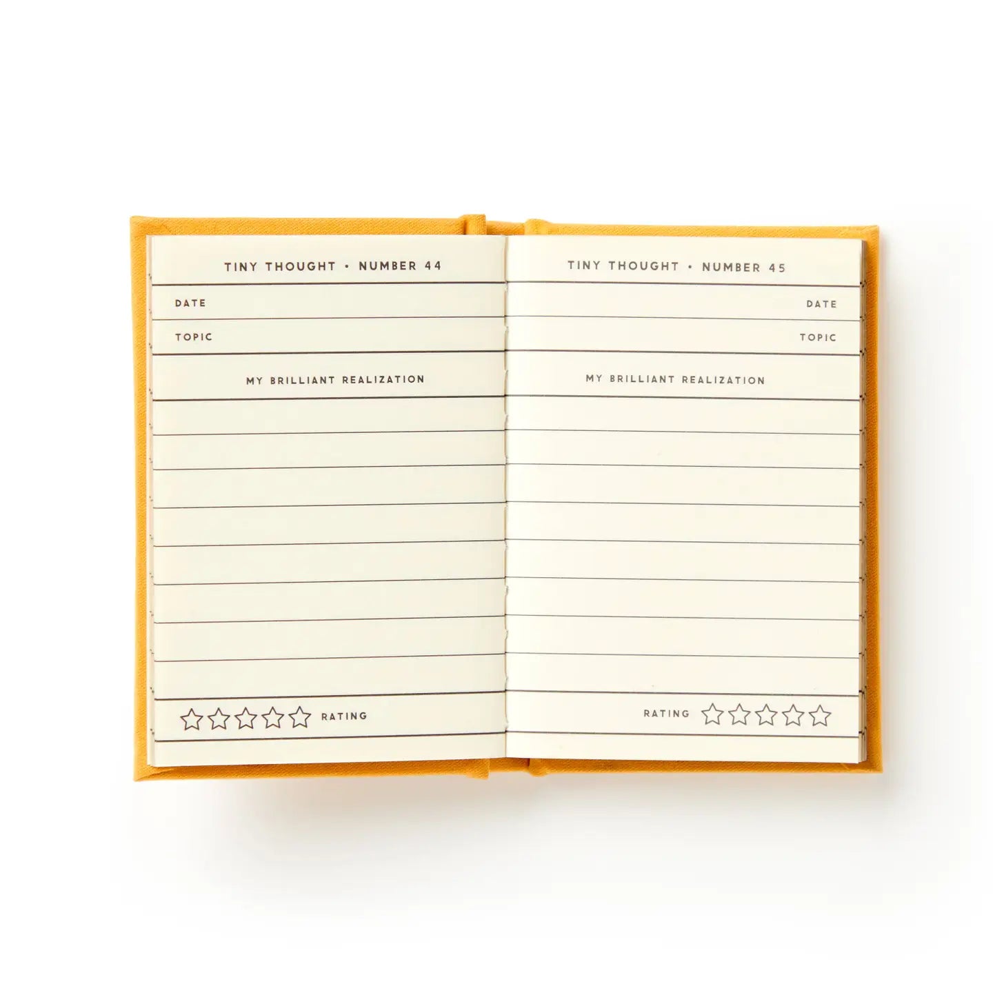 A Tiny Dairy For Tiny Thoughts