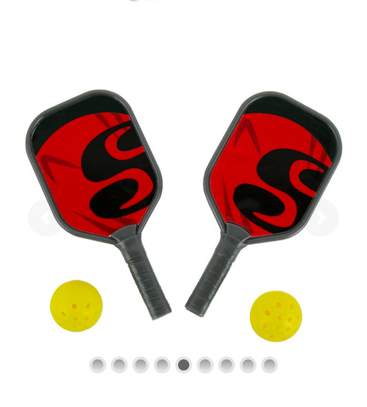 World’s Smallest Pickleball