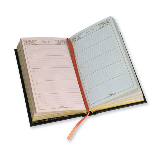 Nouveau One Line A Day