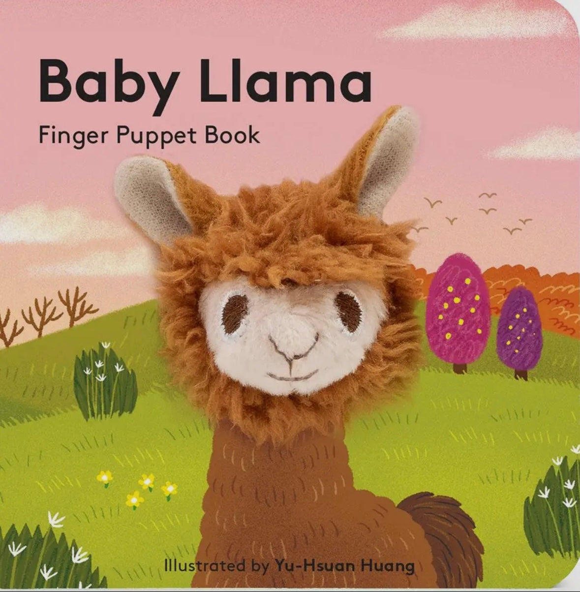 Baby Finger Puppet Book