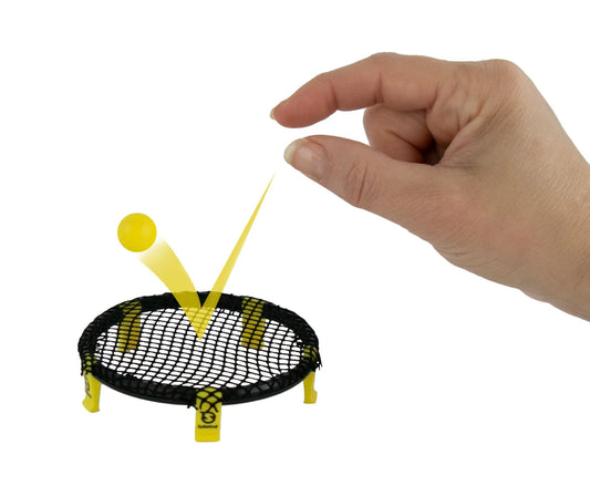 World’s Smallest Spikeball