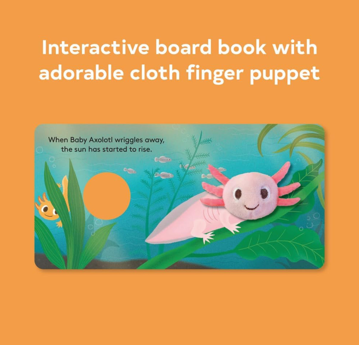Baby Finger Puppet Book
