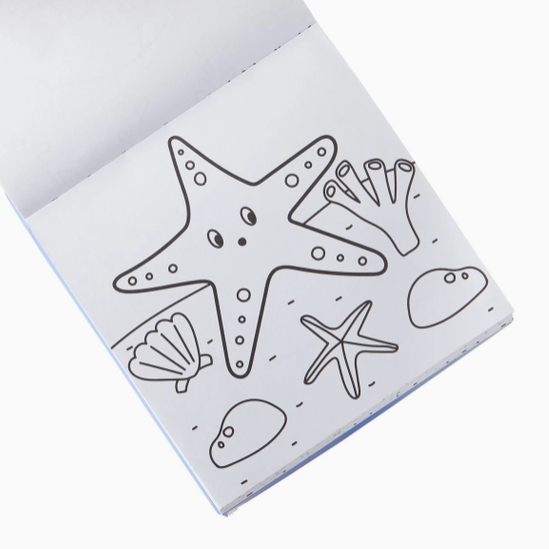 Carry Along Coloring Book and Crayon Set