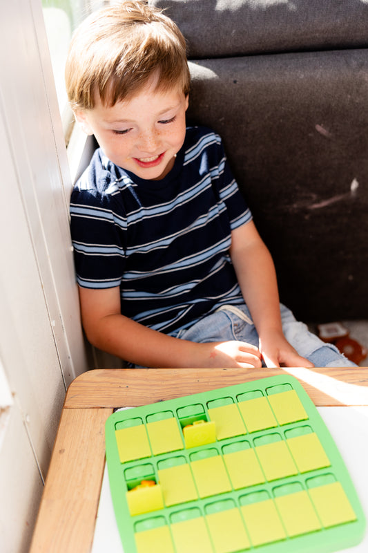 Match Up Memory Snack Tray