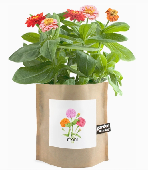 Garden In A Bag- Mom