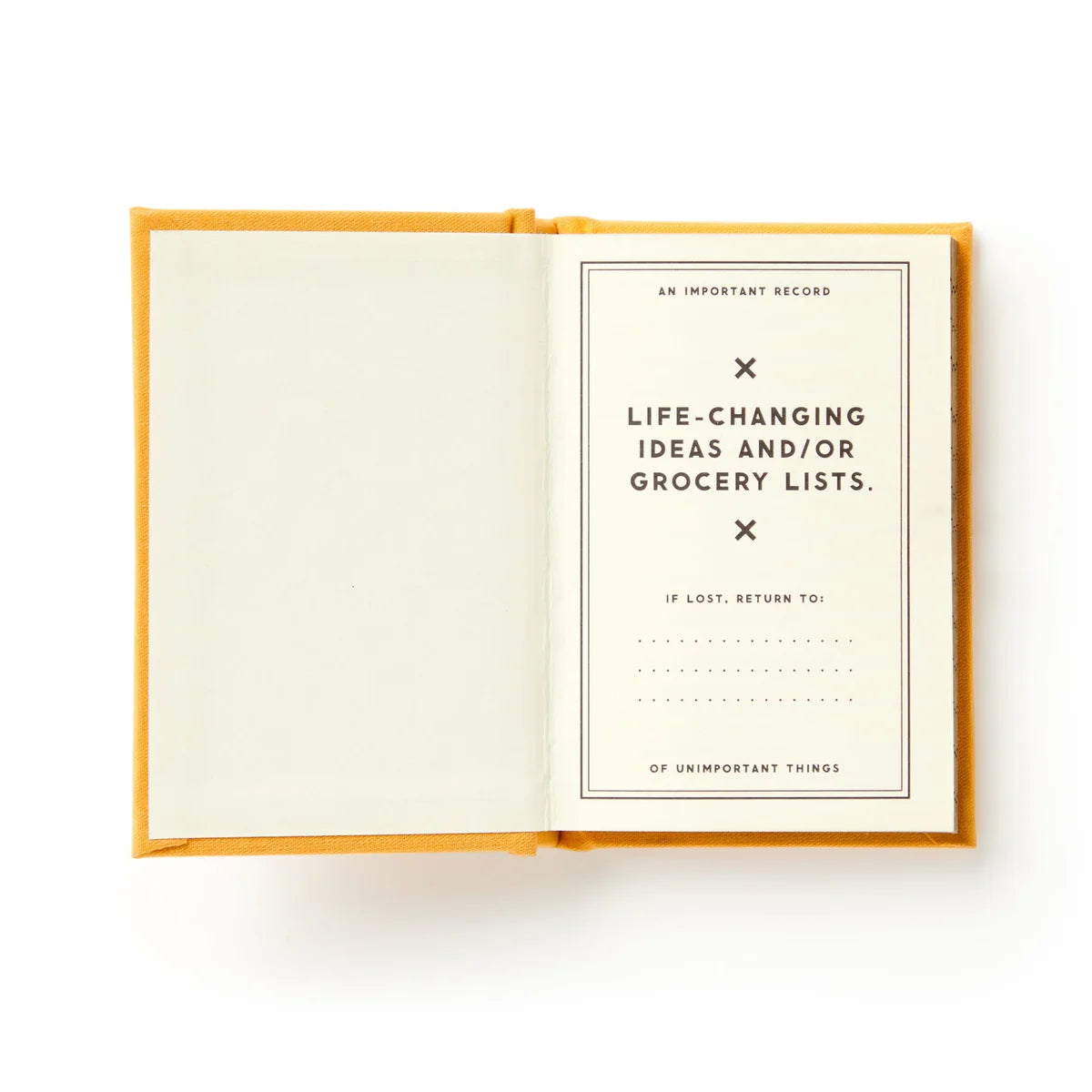 A Tiny Diary For Tiny Thoughts